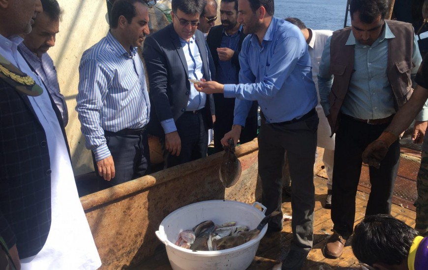۳۴ روز ارزیابی ذخایر و بیومس جانوران دریایی در دریای عمان