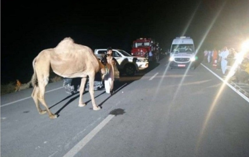 یک کشته در پی تصادف زنجیره ای سه خودرو با شتر