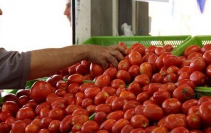 صادرات محصول گوجه فرنگی به کشورهای حوزه خلیج فارس