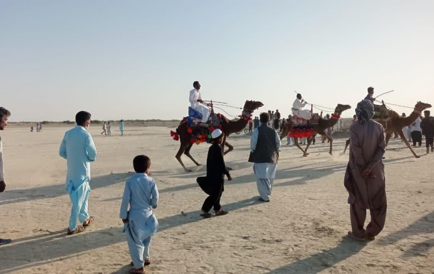 مسابقه شترسواری در شهرستان چابهار برگزار شد+ تصاویر