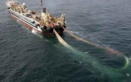 صید ترال و آسیب به اکوسیستم دریایی/ حضور کشتی های ترال و غفلت مسئولان دو لبه تیز قیچی برای گرانی ماهی