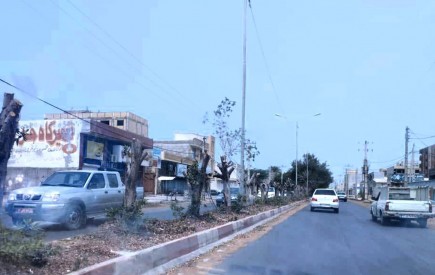 ​علت قطع درختان دربلوار های شهر چابهار چه بود؟